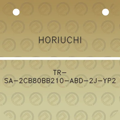 horiuchi-tr-sa-2cb80bb210-abd-2j-yp2