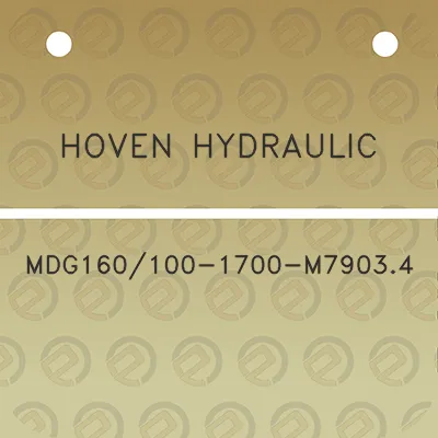 hoven-hydraulic-mdg160100-1700-m79034