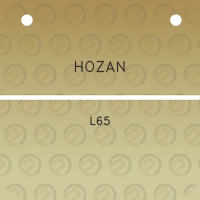 hozan-l65