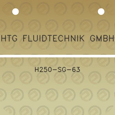 htg-fluidtechnik-gmbh-h250-sg-63