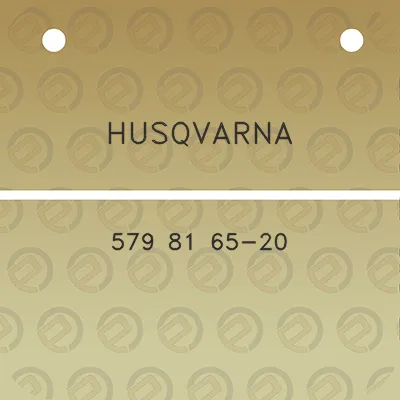 husqvarna-579-81-65-20