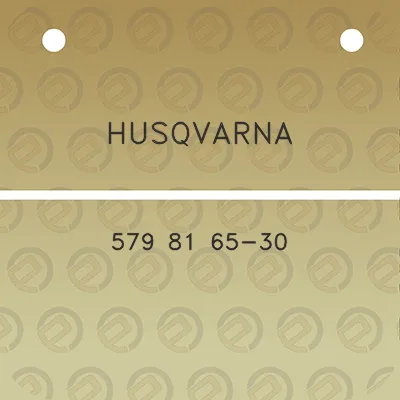 husqvarna-579-81-65-30