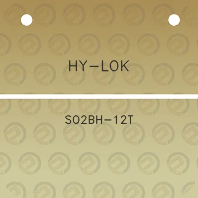 hy-lok-so2bh-12t