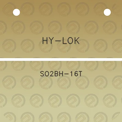 hy-lok-so2bh-16t