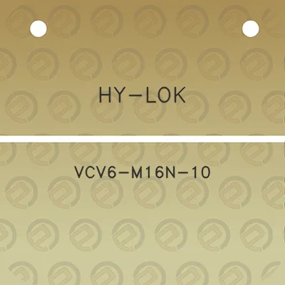 hy-lok-vcv6-m16n-10