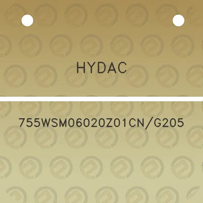 hydac-755wsm06020z01cng205