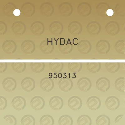 hydac-950313