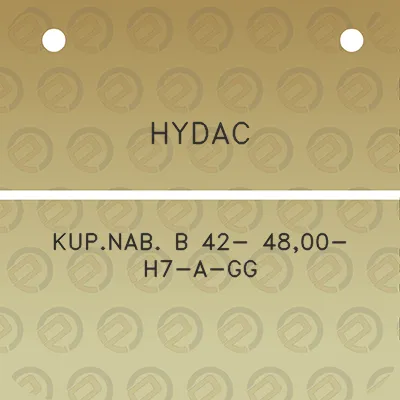 hydac-kupnab-b-42-4800-h7-a-gg