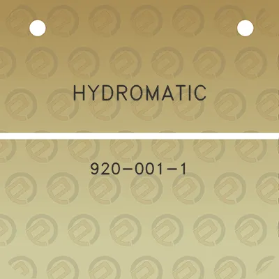 hydromatic-920-001-1