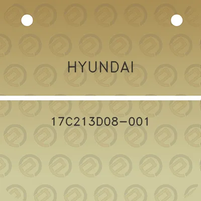 hyundai-17c213d08-001