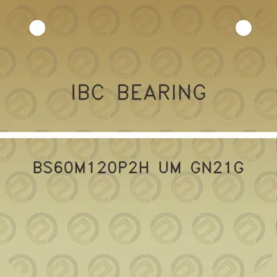 ibc-bearing-bs60m120p2h-um-gn21g