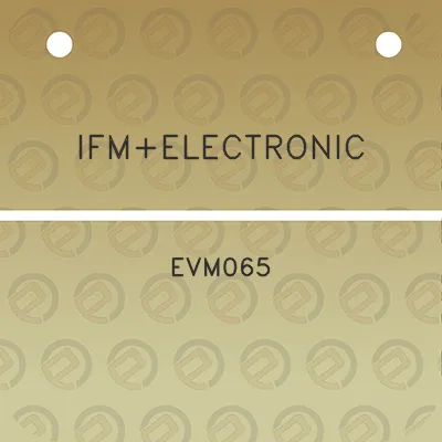 ifmelectronic-evm065