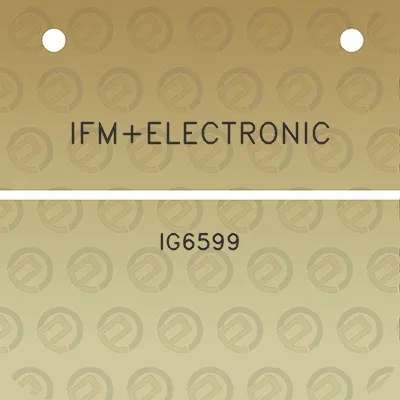 ifmelectronic-ig6599