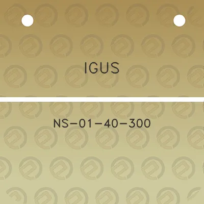 igus-ns-01-40-300