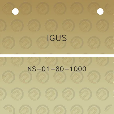 igus-ns-01-80-1000