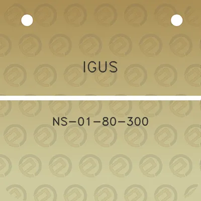 igus-ns-01-80-300