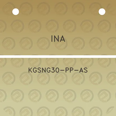 ina-kgsng30-pp-as