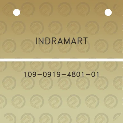 indramart-109-0919-4801-01