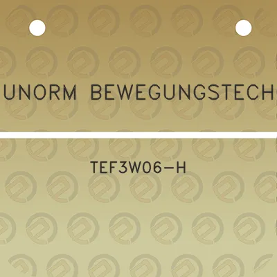 indunorm-bewegungstechnik-tef3w06-h