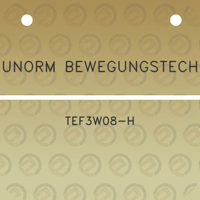 indunorm-bewegungstechnik-tef3w08-h