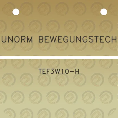 indunorm-bewegungstechnik-tef3w10-h