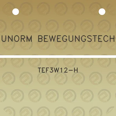 indunorm-bewegungstechnik-tef3w12-h