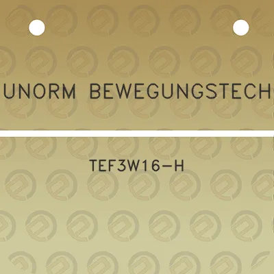 indunorm-bewegungstechnik-tef3w16-h