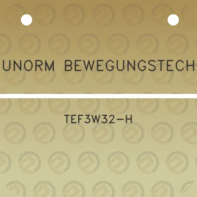 indunorm-bewegungstechnik-tef3w32-h