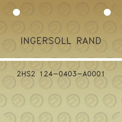 ingersoll-rand-2hs2-124-0403-a0001