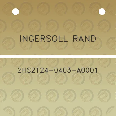 ingersoll-rand-2hs2124-0403-a0001