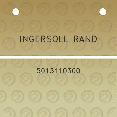 ingersoll-rand-5013110300