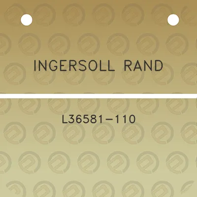 ingersoll-rand-l36581-110