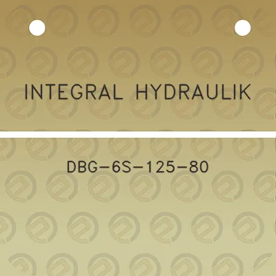 integral-hydraulik-dbg-6s-125-80