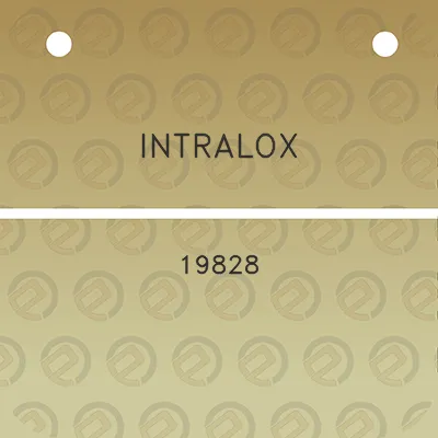 intralox-19828