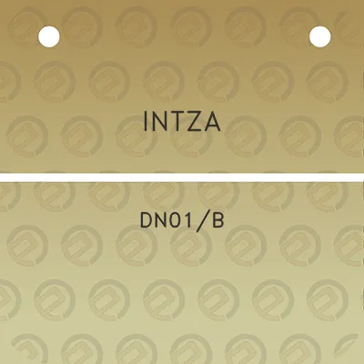 intza-dn01b