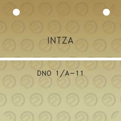 intza-dno-1a-11