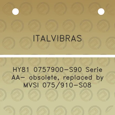 italvibras-hy81-0757900-s90-serie-aa-obsolete-replaced-by-mvsi-075910-s08