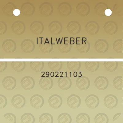 italweber-290221103