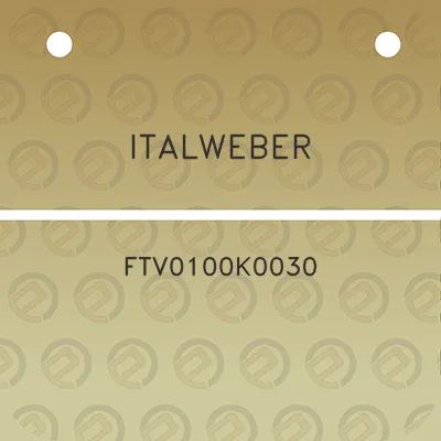 italweber-ftv0100k0030