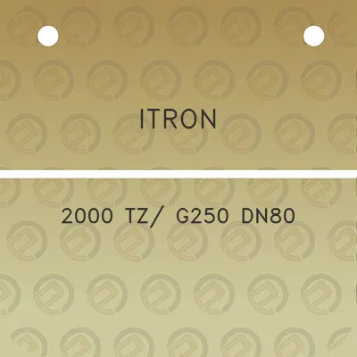 itron-2000-tz-g250-dn80