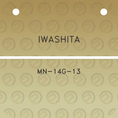 iwashita-mn-14g-13