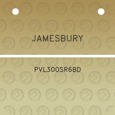 jamesbury-pvl300sr6bd