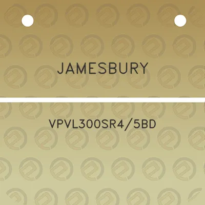 jamesbury-vpvl300sr45bd