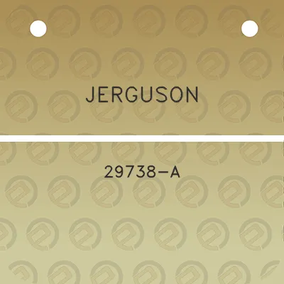 jerguson-29738-a