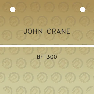 john-crane-bft300