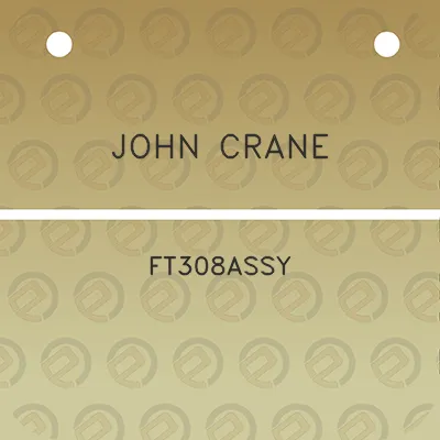 john-crane-ft308assy