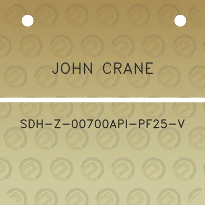 john-crane-sdh-z-00700api-pf25-v