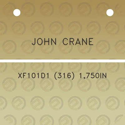 john-crane-xf101d1-316-1750in