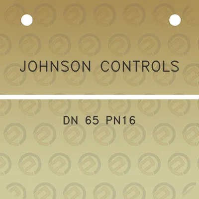 johnson-controls-dn-65-pn16