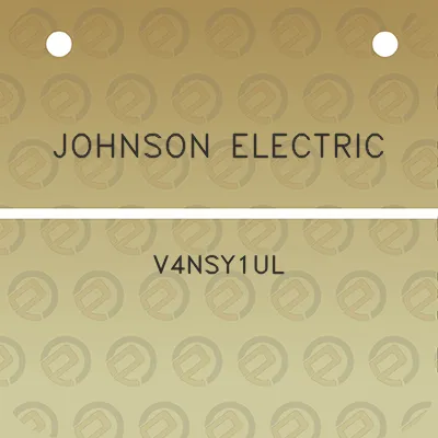 johnson-electric-v4nsy1ul